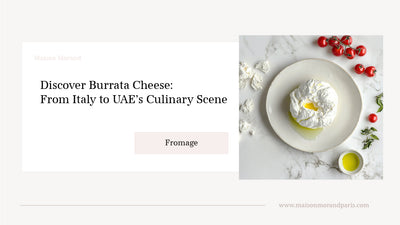 Discovering Burrata Cheese: From Italy to UAE